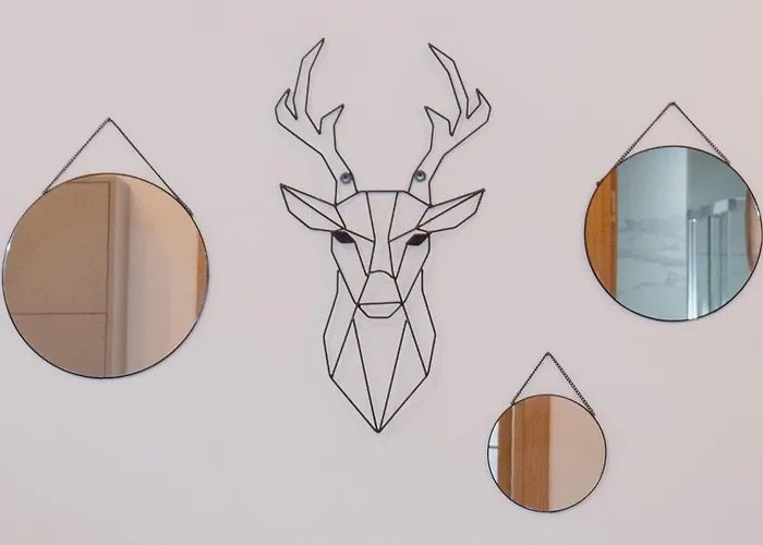 Forma * ズラティボール